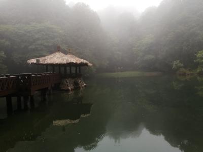 嘉義拠点の台湾の旅(阿里山編)