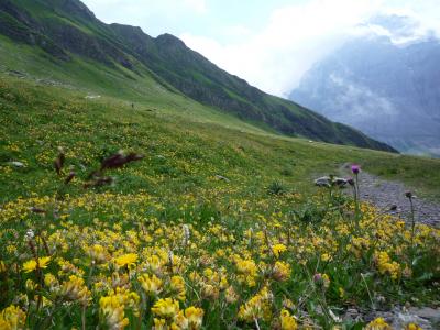 ユングフラウ ハイキング④(フィルスト~グロッセシャイデック)