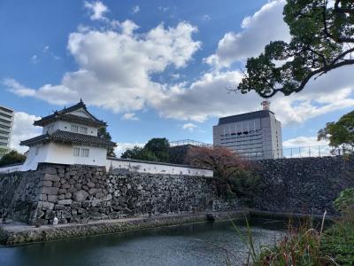 豊後 お城巡り 風速鍾乳洞、府内城、地獄巡り 12/08 其の弐