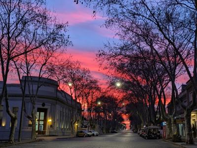 2025年8月夏休みは南米2カ国アルゼンチンとウルグアイ(コロニア編)