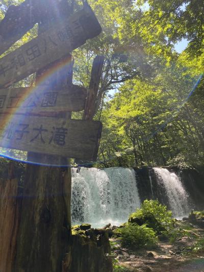 電車の旅No.3 青森県&川越観光 旅行No.10 5日目/7日