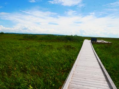 リベンジ サロベツ湿原