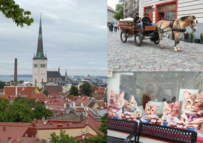魅惑のバルト三国とフィンランドへ！ ５日目、エストニアの首都タリンの旧市街観光、ロシア大聖堂、トームペアの丘、バルト駅市場！