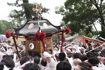 焼津神社・荒祭2025  　ちょっと見に行った【初です】