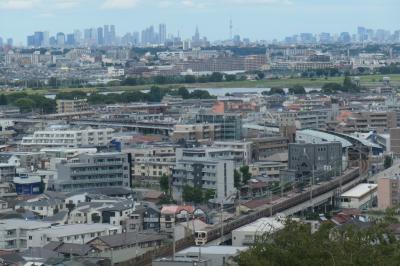 たまに、たまたま、多摩を巡る。ありがた山、小沢城址等