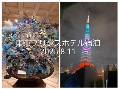 東京プリンスホテル宿泊2025年8月11日
