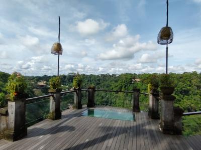 マレーシア航空ビジネスクラスで行くバリ島　10．ホテルライフを楽しんだ後、ウブドからジンバランへ移動