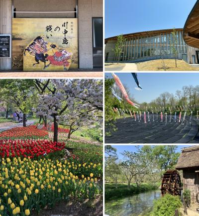 2025年GW前半の信州・八ヶ岳、甲府・河口湖 旅(2日目 川中島古戦場から安曇野 編)