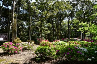 島根県:浜田城、石見七尾城(その2)