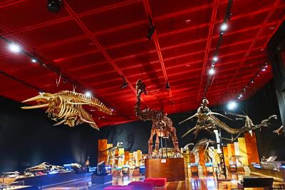 いわき湯本で &#129429;恐竜と化石と &#9832;温泉&#9832;