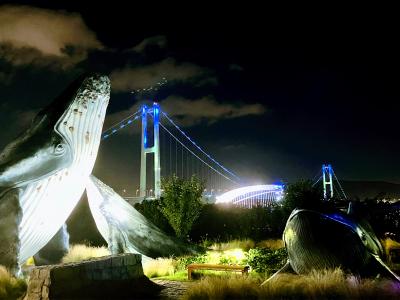 ウルルン蔚山滞在記☆①（町全体クジラ推し＠かつての捕鯨の町で、大きなクジラオブジェに出会ったぁ&#12316;♪）