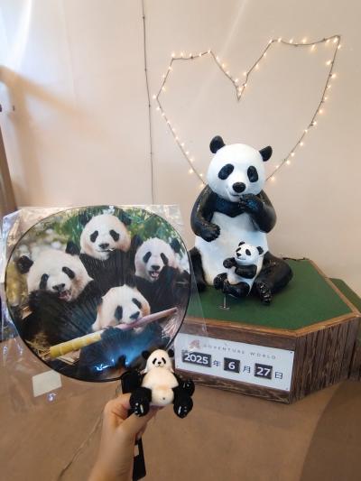 アドベンチャーワールド パンダ最終観覧レポ☆