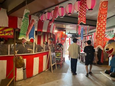 伊豆旅行2日目 まぼろし博覧会と大室山