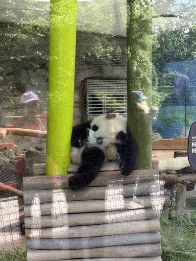 一人旅2025夏①ドイツpart1