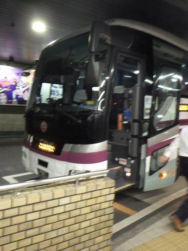 島根県:浜田城、石見七尾城(その4)