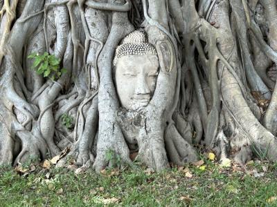 コロナ後初の海外は、タイ3泊5日の一人旅♪3日目、アユタヤ遺跡編⭐︎