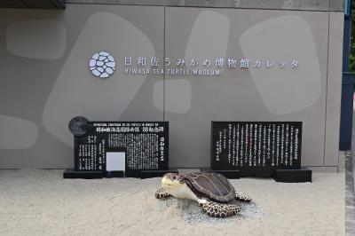 アートとウミガメに出会う2泊3日③〜カレッタ&むろと廃校水族館〜