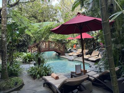 恒例の夏休みバリ島旅行2025①~ウブド編