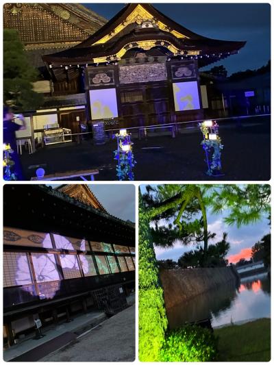 二条城でプロジェクションマッピング…泊まりは一人で！！