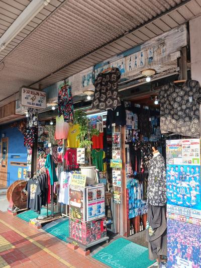 JR東海☆夏の乗り放題きっぷで行く静岡1泊2日の旅