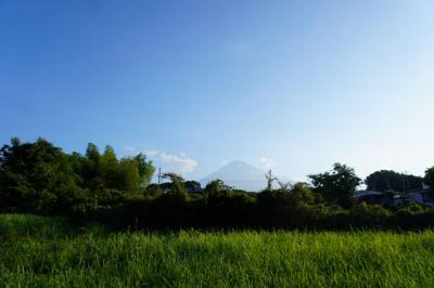 自転車でGO! 富士山見ながら富士・富士宮市内を走る 2025.08.15