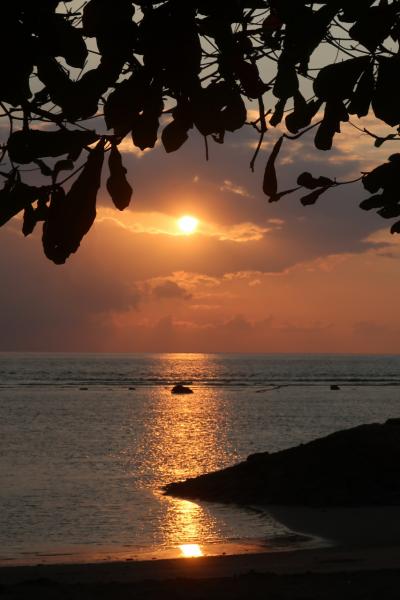 2025 のんびりサヌール