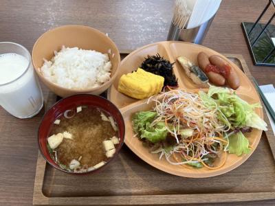 茨城観光 6日間 6日目 宝篋山をやめて 羽田から大阪へ