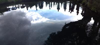 忍野八海に行ってきました