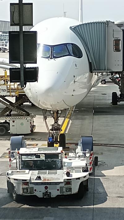 2025AUG①SASから頂いた100万マイルを使ってエールフランス航空ビジネスクラスでパリ乗継で南米ボゴタへ行ってみる