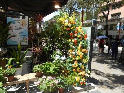 香港で真夏の街あるき【買い物エリア編】花墟道、バードガーデン、又一城、AIRSIDE