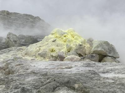 シマフクロウを見に行くのと、タンチョウに会いに行くのと、道東を巡った旅行の記録(前編)