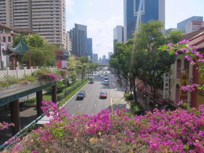 授業前においし～い朝粥＆ランチはミシュラン鶏飯♪戸惑いだらけの授業終え小籠包☆シンガポール留学の旅3