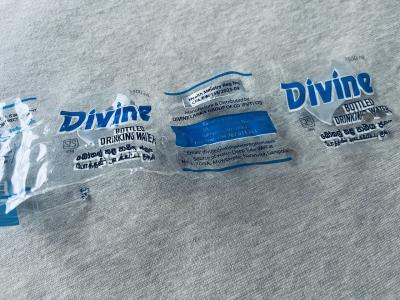 スリランカで夏休み2一シギリヤロックー