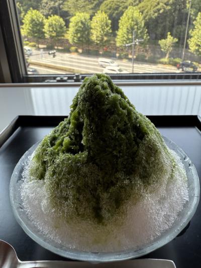 ぶらり東京①IMMシアター 新橋演舞場 豊川稲荷