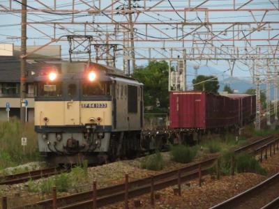 2025青春１８きっぷのつかいかた。気になる列車を見に行こう！vol.1（伯備線ＥＦ６４編）