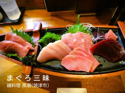 【静岡ぐるめ 初日：後編】 意外と知られていない大井川鐵道「謎の支線」と日本有数の遠洋漁業の基地・焼津で名物「まぐろ＆かつお 」を堪能！