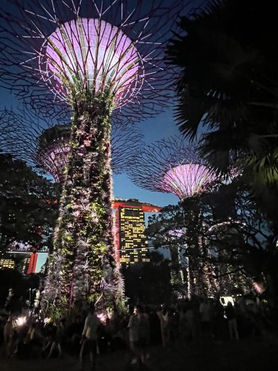 夫婦旅シャモニー・ミラノ14日間①シンガポール航空フリーシティツアー、ミラノからシャモニーへ