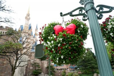 TDR◎1日（ディズニーランド）