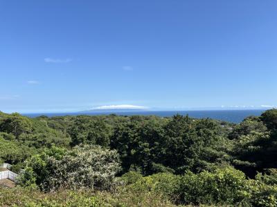 令和7年8月愛犬旅行 またまた伊豆高原