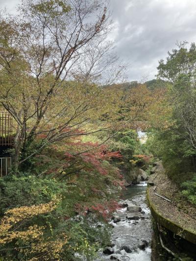 くもりがち秋の湯河原に日帰り