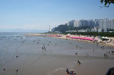 関釜フェリーで釜山、多大浦で夢の噴水ショーを見た。(゚O゚)