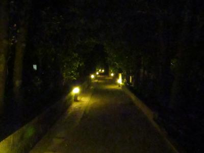 渡名喜島お盆一人旅