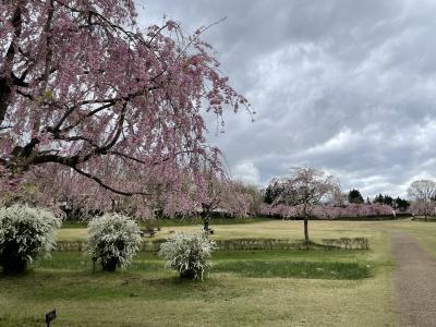 むつ市から八戸へ