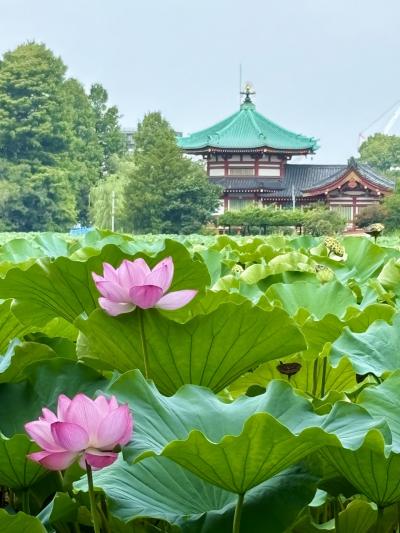 2025.8月　上野・御徒町