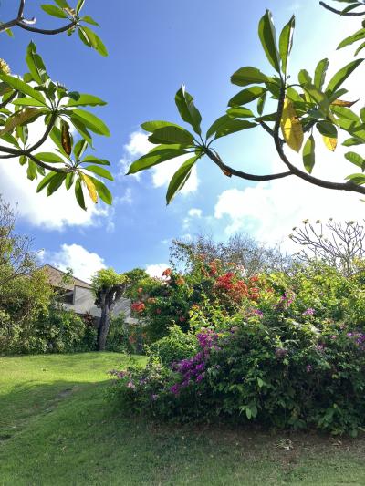 2025年夏休み　バリ島旅行③　3～4日目編