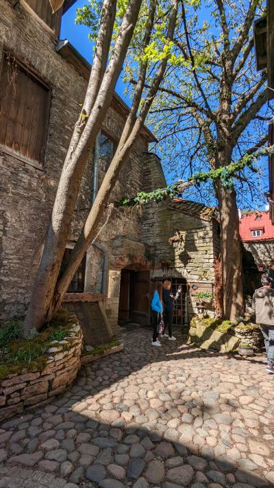 GWエストニア旅行　番外編　Part5