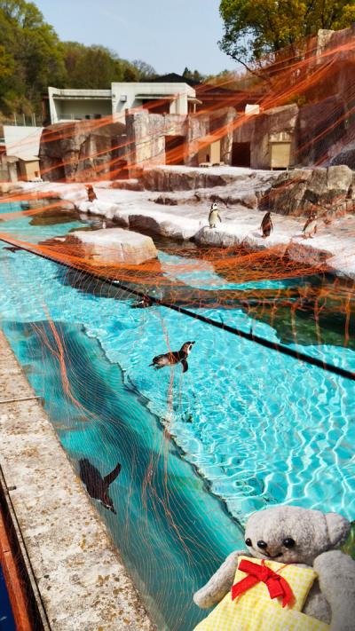 自転車で巡る松山2025(5)ペンギンのお食事タイムは赤い網に邪魔されて