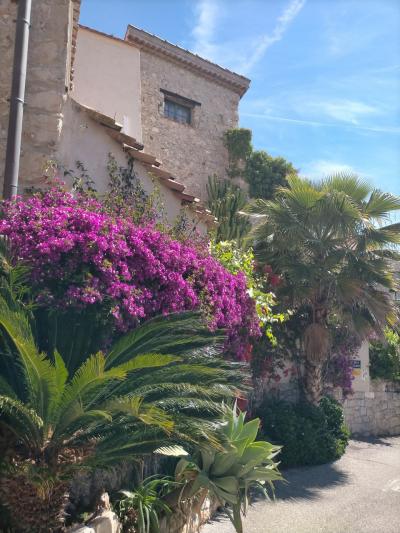 2025.5 南フランス 芸術家が愛した町 １０話アンチーブ 路地歩きで猫に出会った