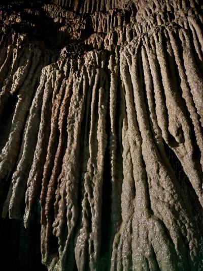 2025年8月☆お盆帰省旅行記☆