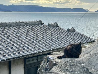 癒やしを求めて男木島へ